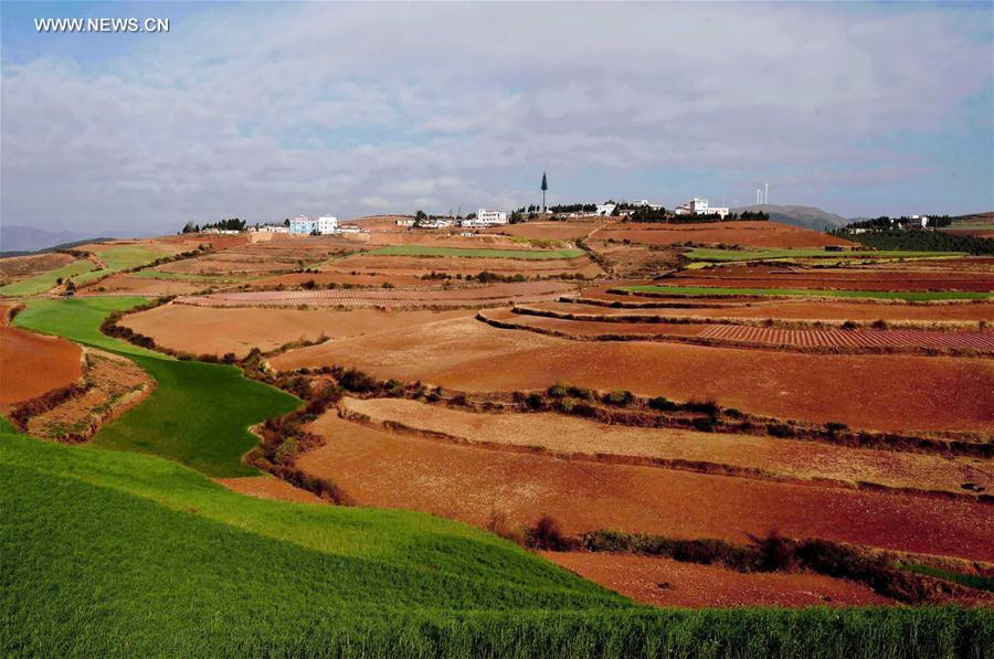 Panorama dos terra?os de solo vermelho no sudoeste da China
