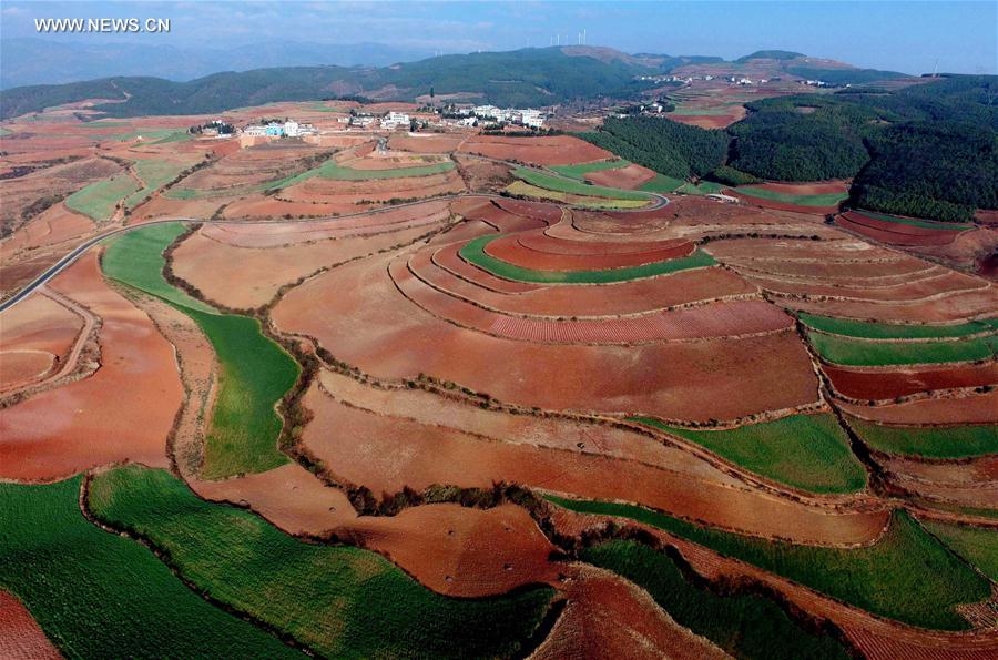 Panorama dos terra?os de solo vermelho no sudoeste da China