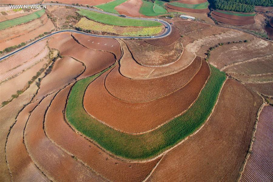 Panorama dos terra?os de solo vermelho no sudoeste da China