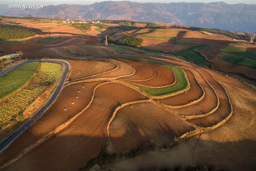 Panorama dos terra?os de solo vermelho no sudoeste da China