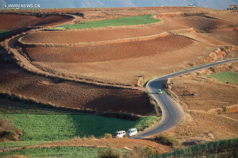 Panorama dos terra?os de solo vermelho no sudoeste da China