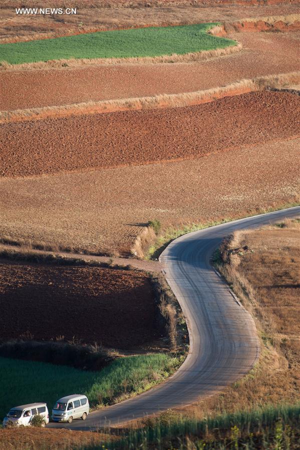 Panorama dos terra?os de solo vermelho no sudoeste da China