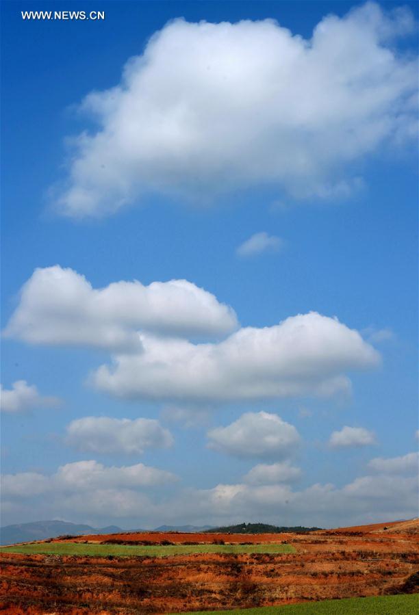 Panorama dos terra?os de solo vermelho no sudoeste da China