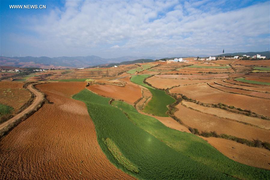 Panorama dos terra?os de solo vermelho no sudoeste da China