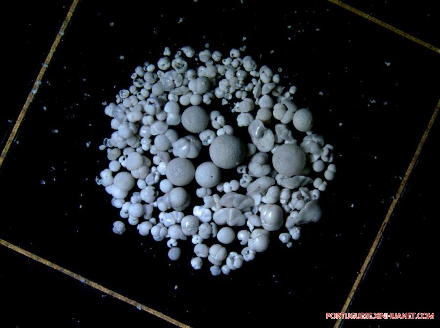 Expedi??o ao Mar do Sul da China extrai amostras de protozoários foraminíferos