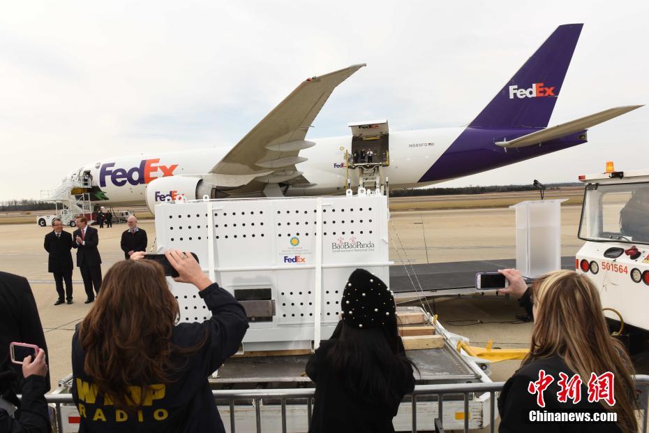 Panda gigante nos EUA volta para a China