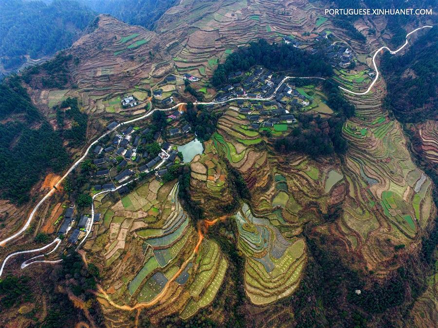Imagens da primavera ao redor da China