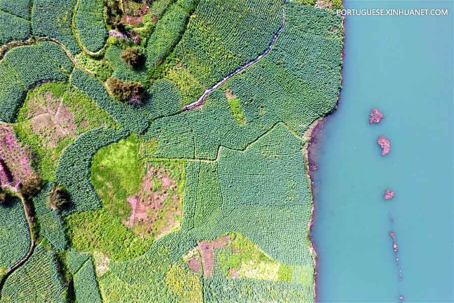Imagens da primavera ao redor da China