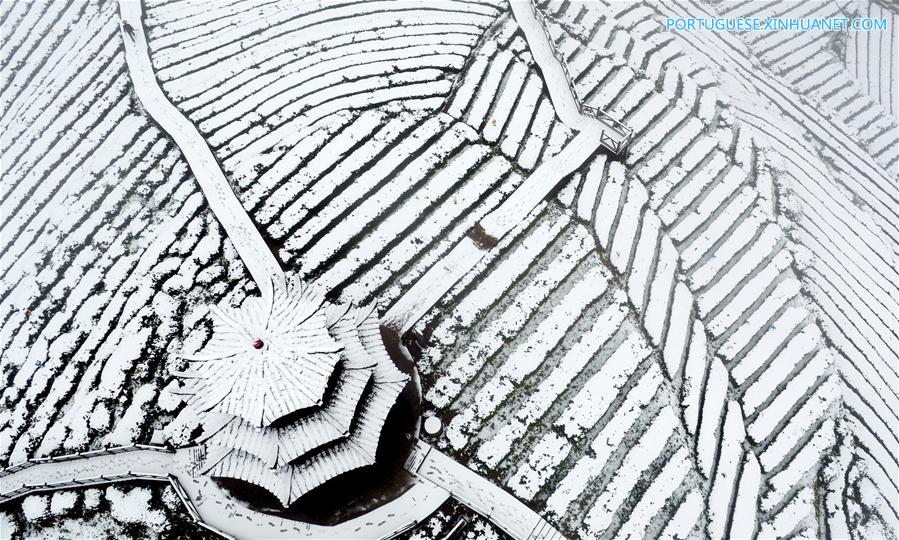 Em imagens: jardim de chá em Hubei coberto pela neve