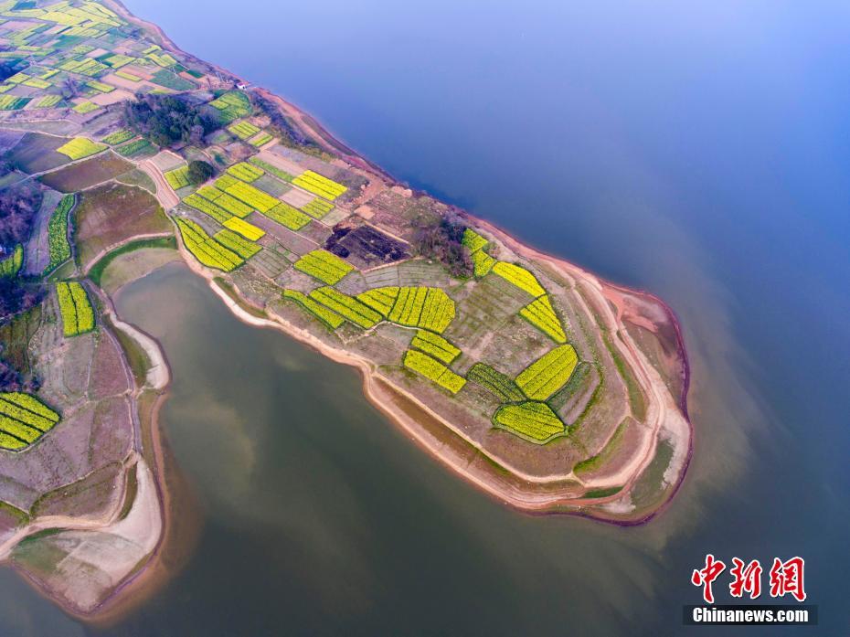 Paisagem dos campos floridos em Jiangxi