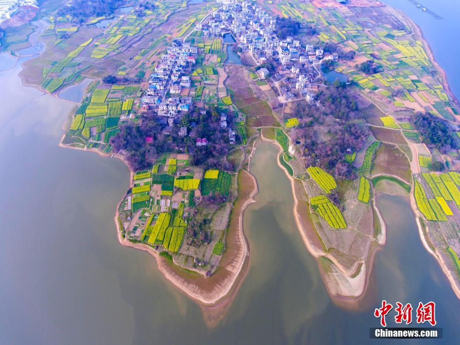 Paisagem dos campos floridos em Jiangxi