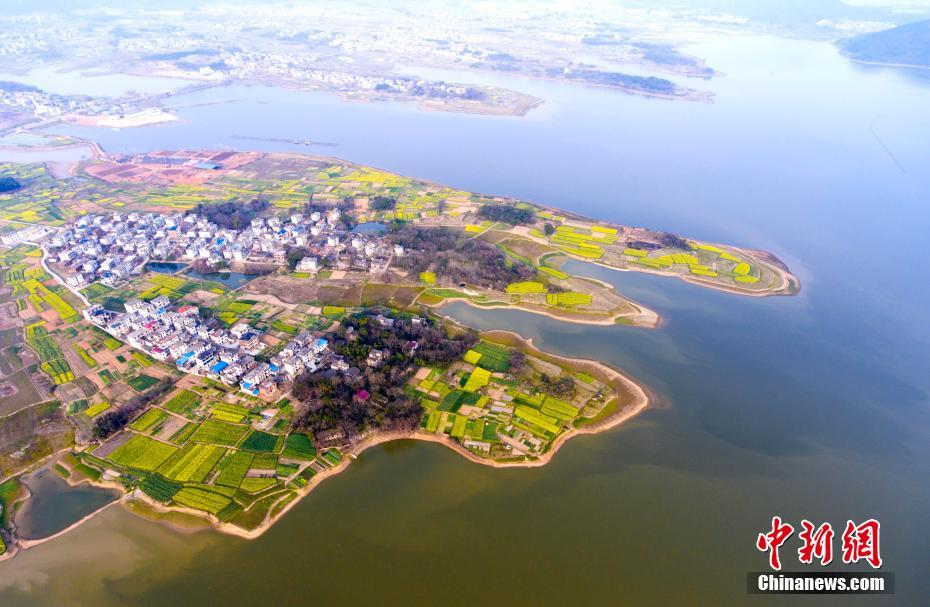 Paisagem dos campos floridos em Jiangxi