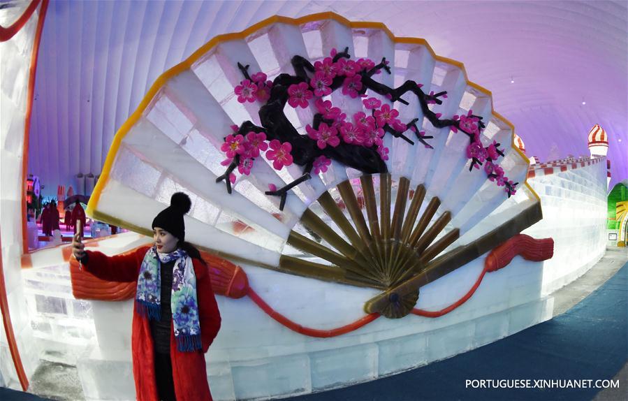 Parque Temático Mundo de Gelo e Neve abre em Harbin