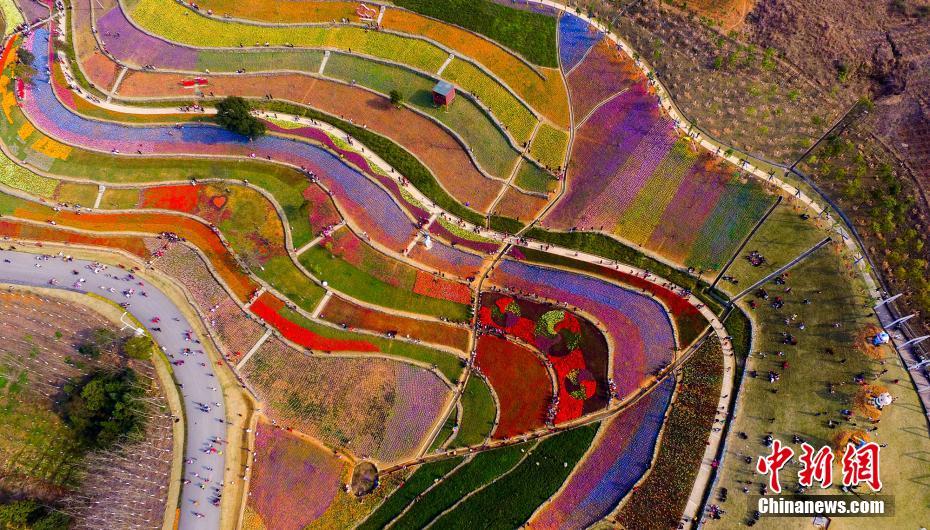 Mar de tulipas no jardim botanico de Jiangxi