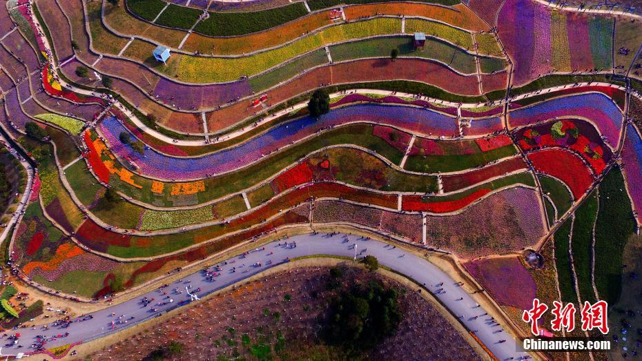 Mar de tulipas no jardim botanico de Jiangxi
