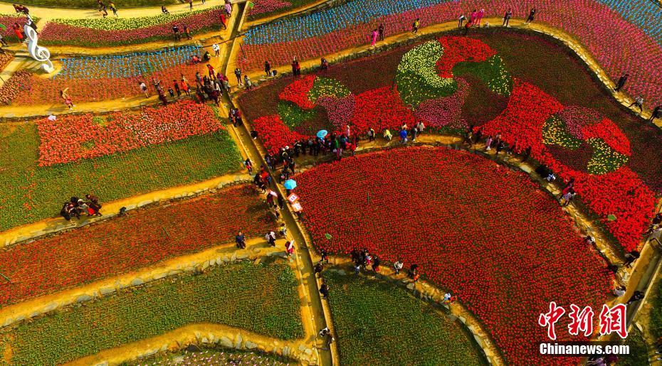 Mar de tulipas no jardim botanico de Jiangxi