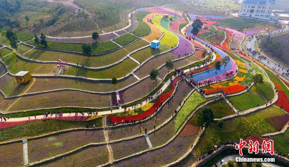 Mar de tulipas no jardim botanico de Jiangxi