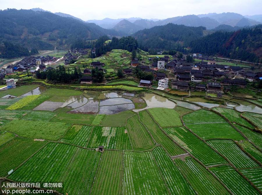 Paisagem primaveril de Guizhou