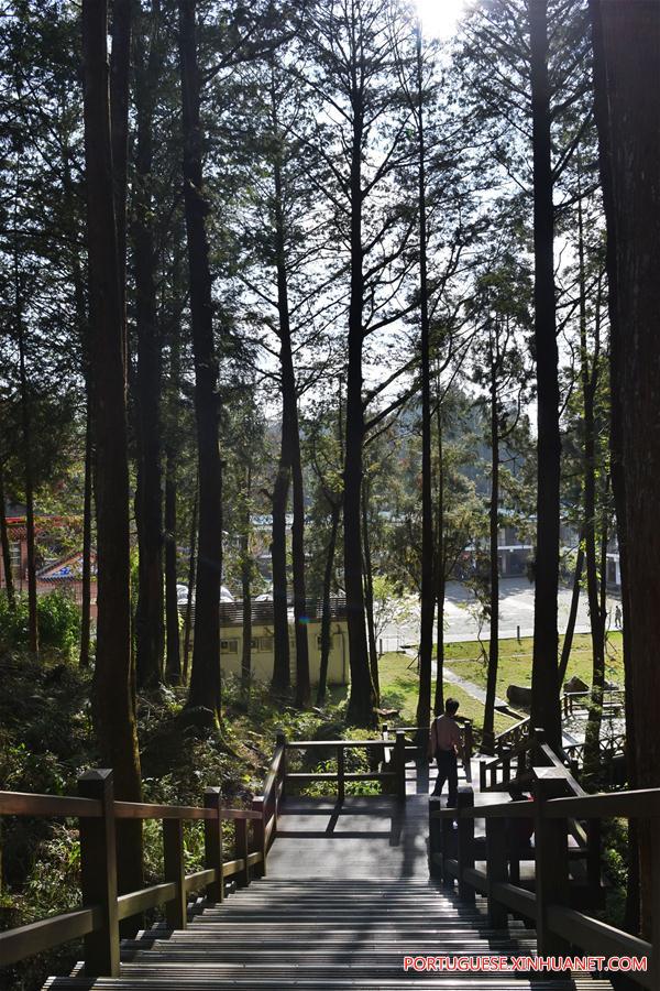 Paisagem da Montanha Ali em Taiwan, no sul da China