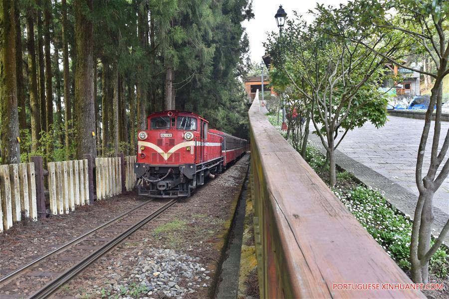Paisagem da Montanha Ali em Taiwan, no sul da China