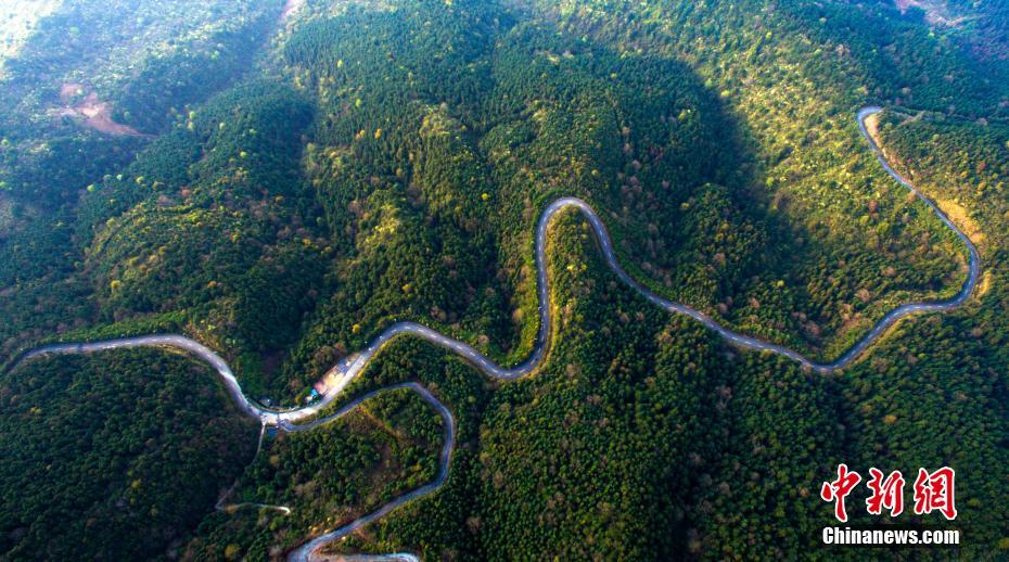 Panorama do “pulm?o verde” de Jiangxi