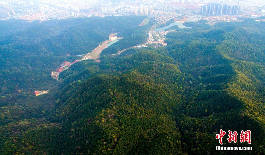 Panorama do “pulm?o verde” de Jiangxi
