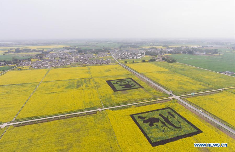 China aposta no desenvolvimento do turismo rural na província de Sichuan