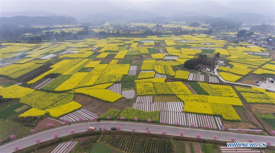 China aposta no desenvolvimento do turismo rural na província de Sichuan