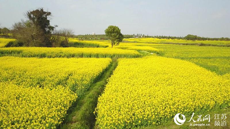 Vila chinesa promove turismo rural com “viagem ecológica”