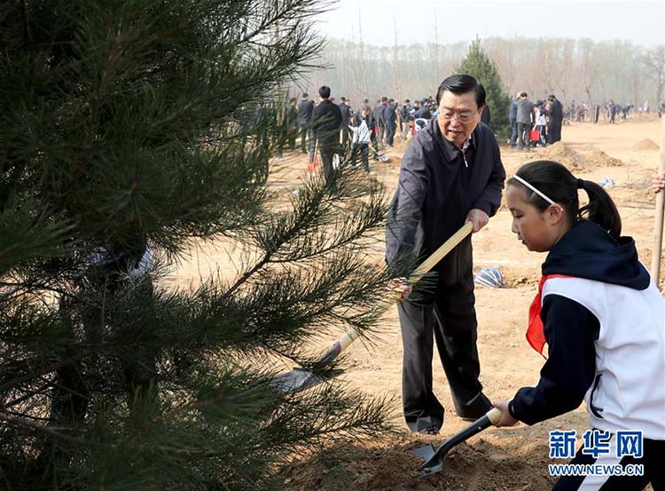 Presidente chinês planta árvores e pede compreens?o e prote??o da natureza