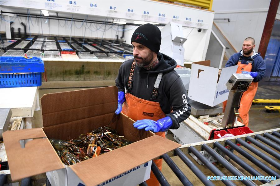 Phil Miles (e) e Dave Bedell, funcionários da empresa Maine Coast embalam lagostas em Portland, Maine, nos Estados Unidos, em 29 de mar?o de 2017.