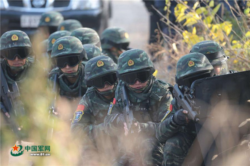 Unidade de Comandos Leopardo das Neve na salvaguarda da seguran?a nacional