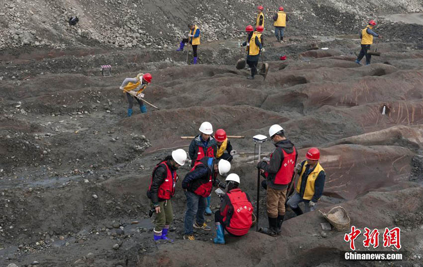 Mais de 30 mil relíquias culturais recuperadas em tesouro afundado há cerca 300 anos