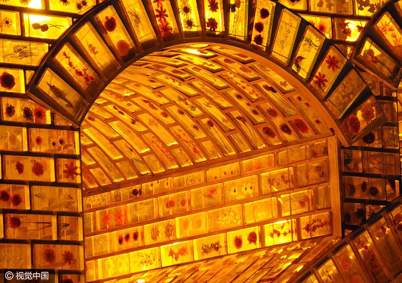 Ponte Dourada da Rota da Seda é iluminada antes do Fórum do Cintur?o e Rota