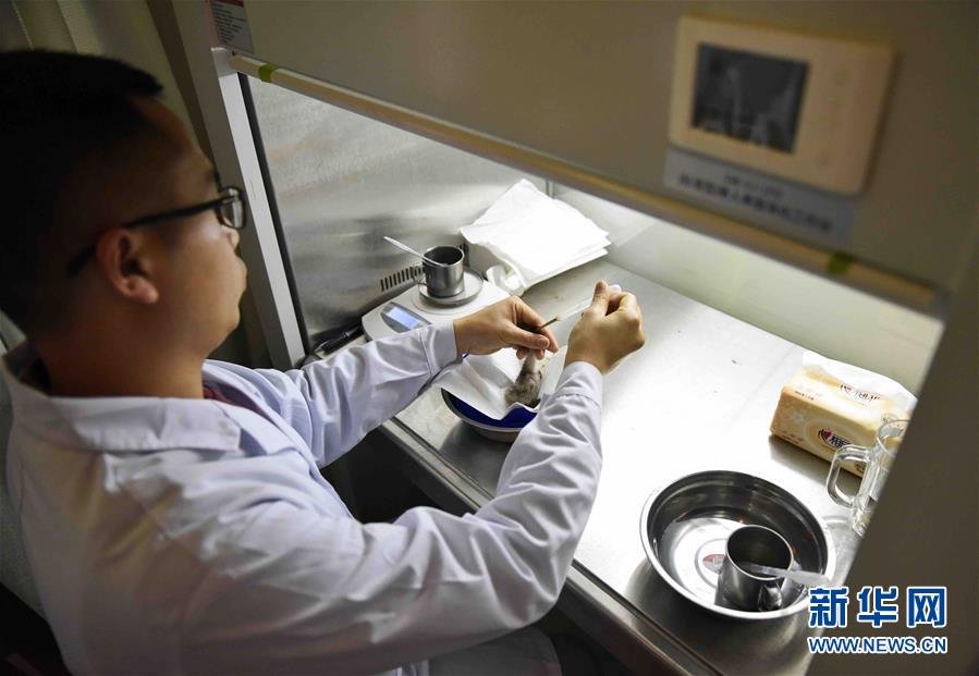 Duas aves íbis-de-crista nascem por incuba??o artificial no sudoeste da China