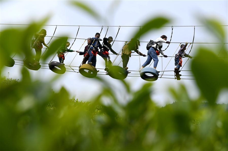Jardim de chá em Hubei recebe turistas durante o feriado do Dia do Trabalho