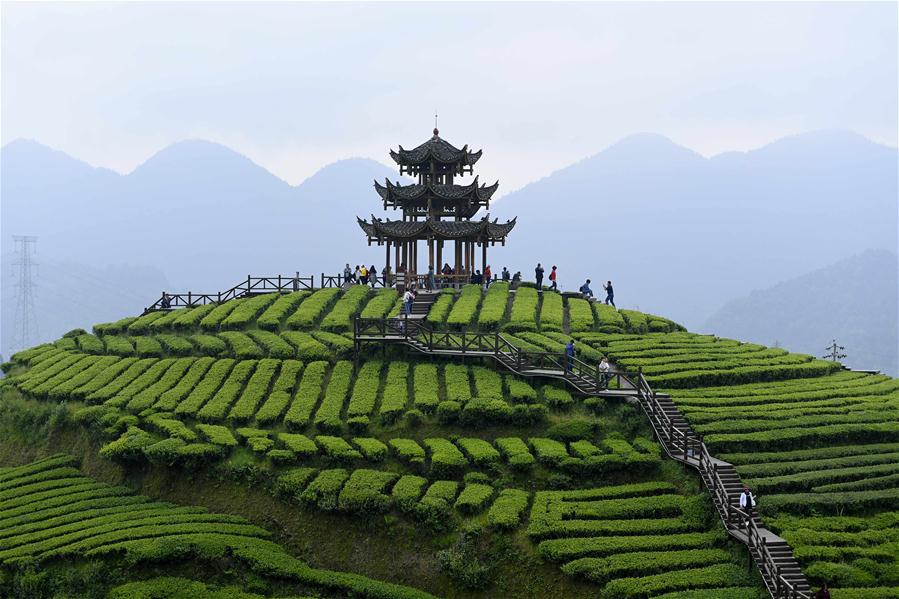 Jardim de chá em Hubei recebe turistas durante o feriado do Dia do Trabalho