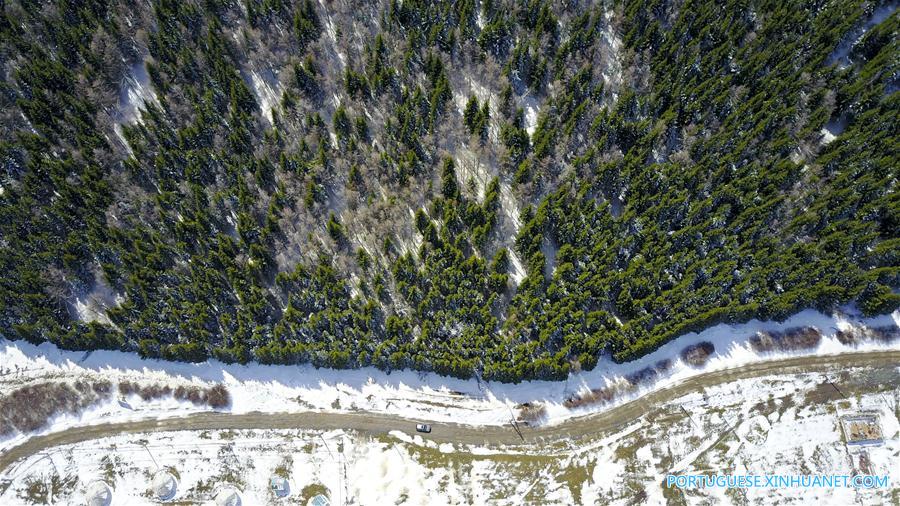 Cenário de neve das montanhas Tianshan em Xinjiang no noroeste da China