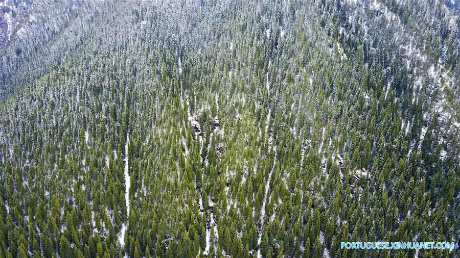 Cenário de neve das montanhas Tianshan em Xinjiang no noroeste da China