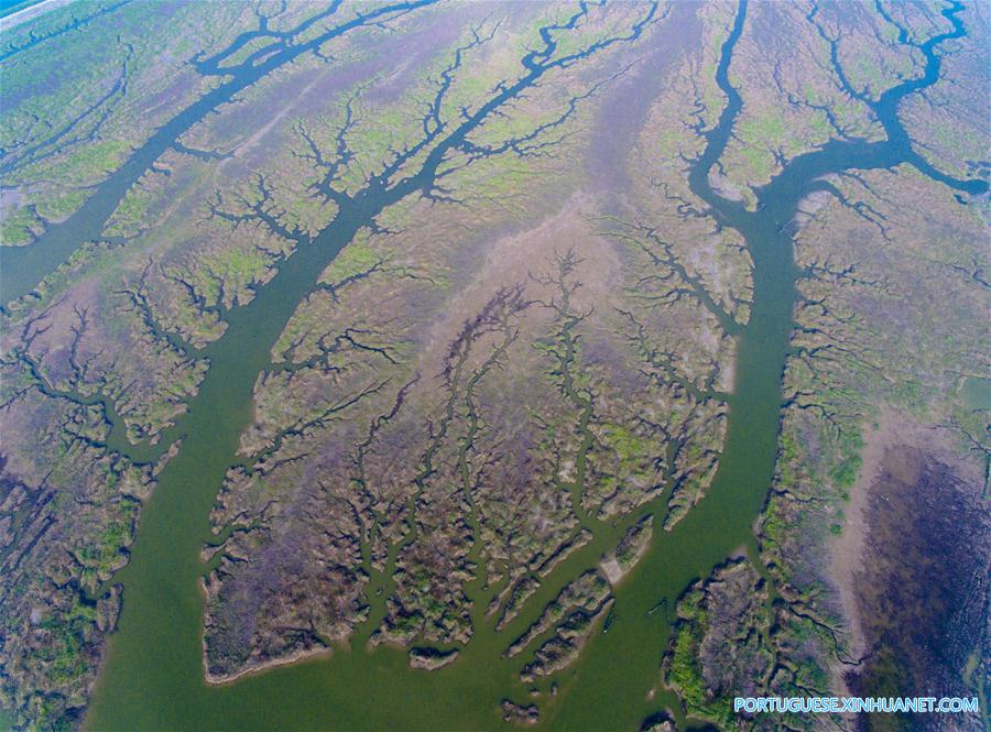 Regi?o entremarés em Jiangsu no leste da China