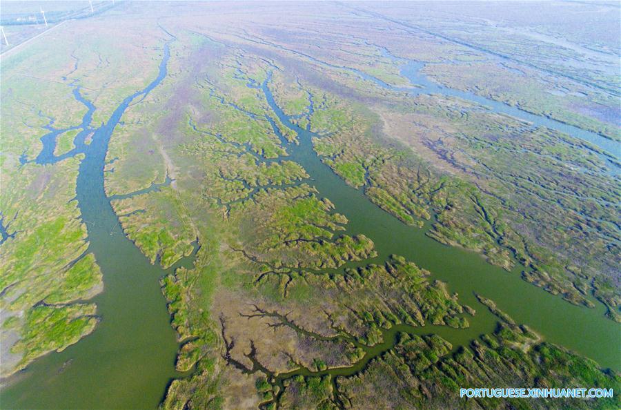 Regi?o entremarés em Jiangsu no leste da China