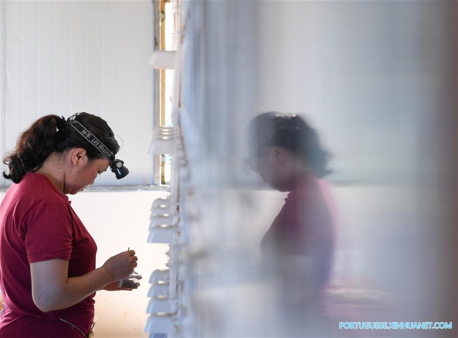 Cria??o de aranhas alivia pobreza em vila do sul da China