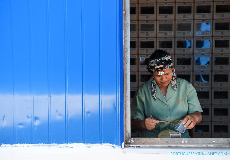 Cria??o de aranhas alivia pobreza em vila do sul da China