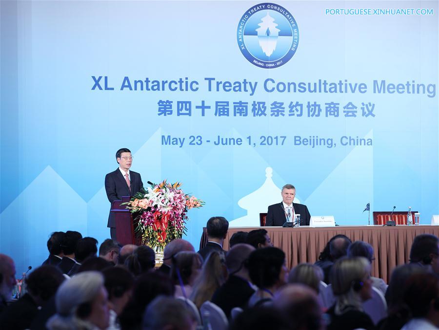 Vice-premiê chinês pede melhor prote??o da Antártida