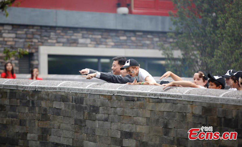 Dois pandas gigantes s?o apresentados ao público na Holanda