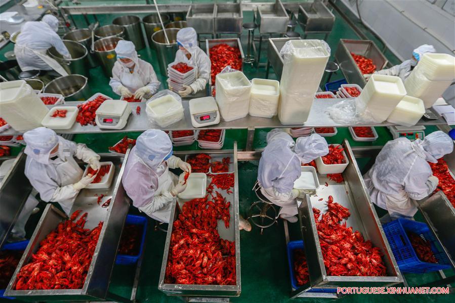 Valor anual de produ??o de lagostas na China ultrapassa 1,47 bilh?es de dólares