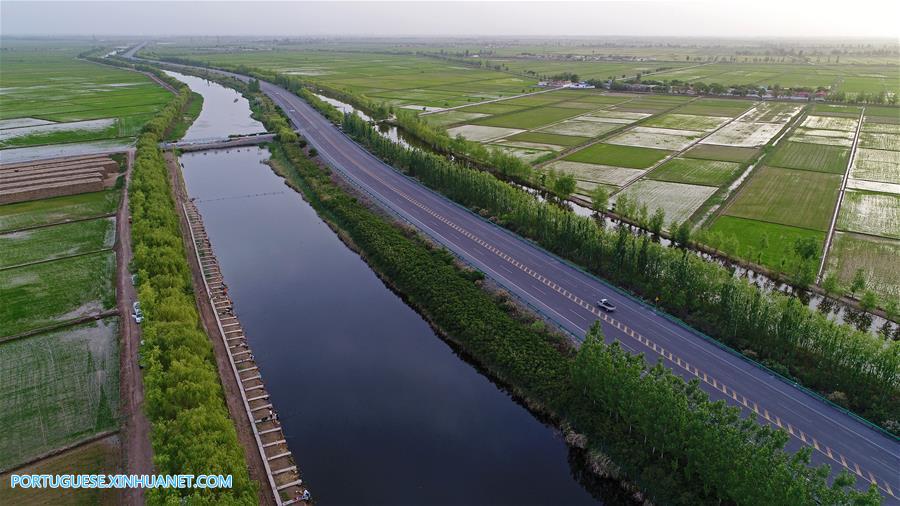 Dez cidades de Ningxia localizadas ao longo de rio Amarelo s?o ligadas por estrada