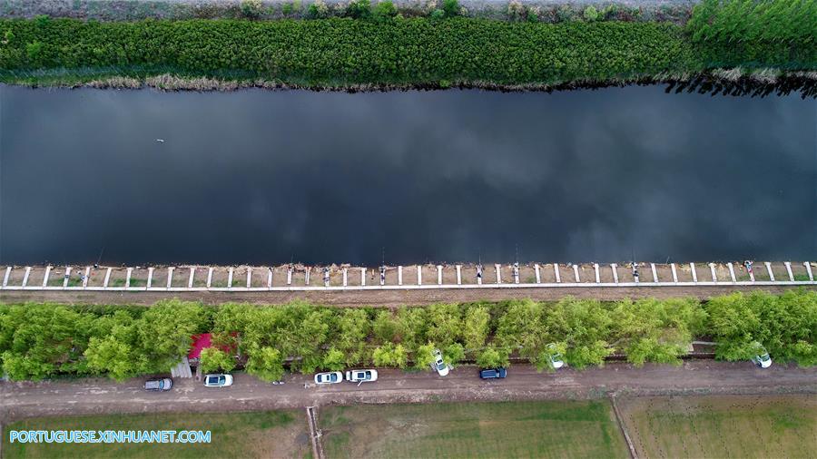 Dez cidades de Ningxia localizadas ao longo de rio Amarelo s?o ligadas por estrada
