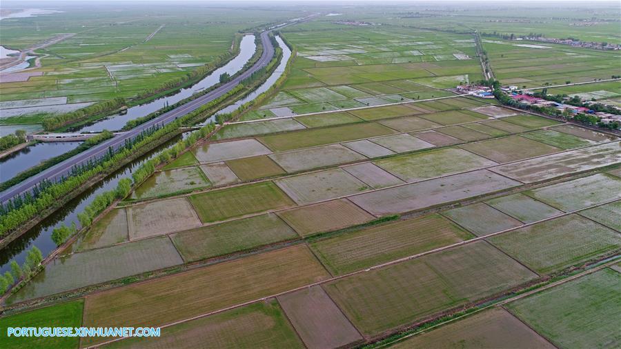 Dez cidades de Ningxia localizadas ao longo de rio Amarelo s?o ligadas por estrada