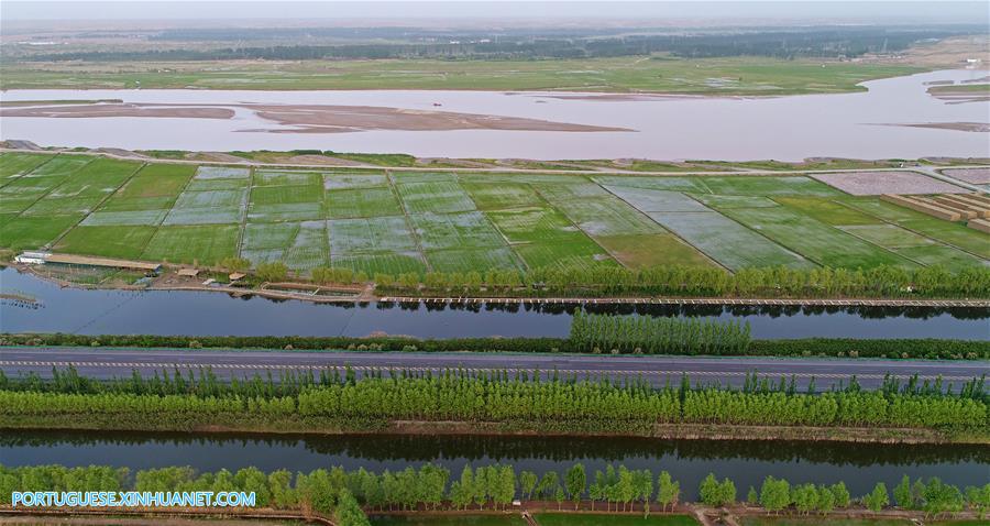 Dez cidades de Ningxia localizadas ao longo de rio Amarelo s?o ligadas por estrada